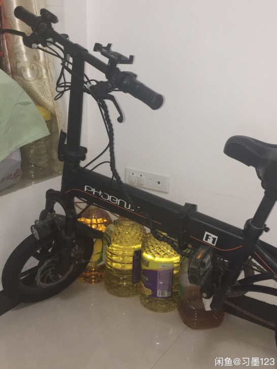 凤凰品牌折叠电动车，可折叠放后备箱，性价比...