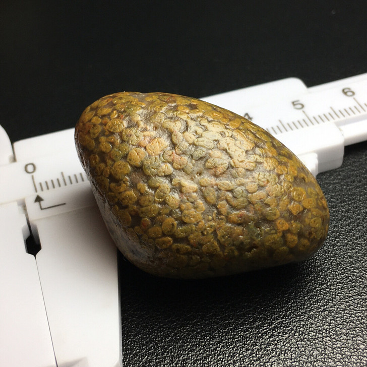 雨花石 化石 手玩石 鱼籽纹 玉化玛瑙质地