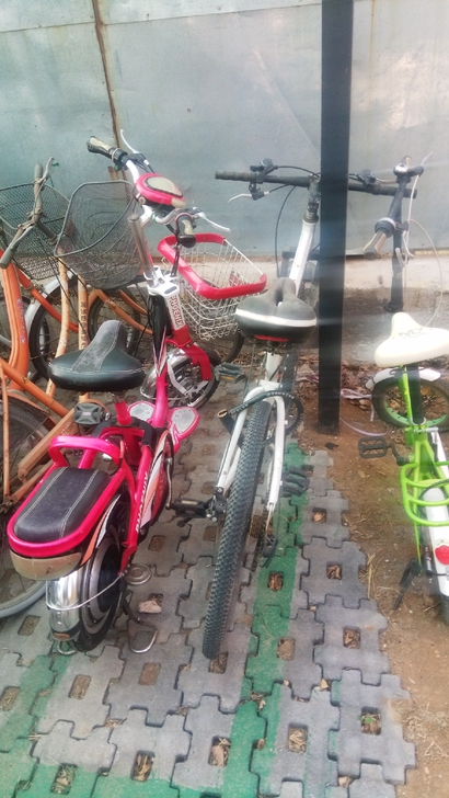 凤凰电动车48v,