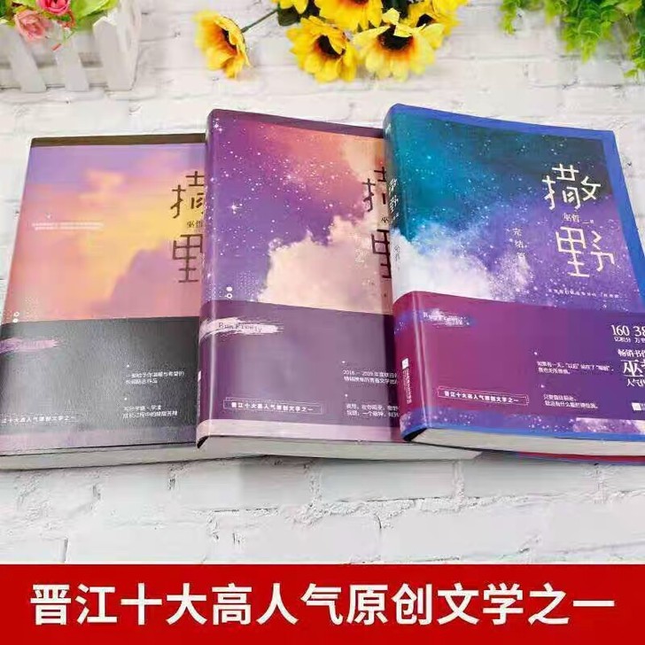 撒野123完结篇小说全套正版无删减巫哲青春...