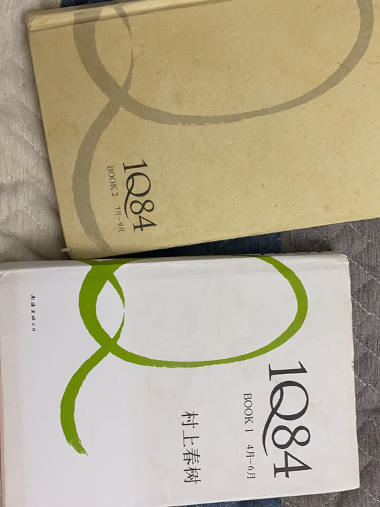 村上春树，1Q84第一本和第二本。第三本丢...