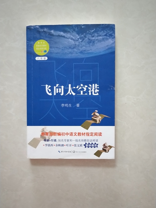 《飞向太空港》
