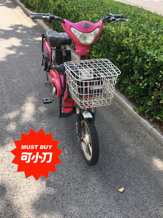 48v爱玛电动车