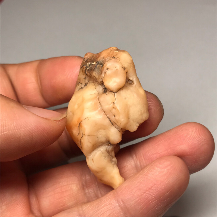 戈壁石 天然孔挂坠 象形石 羊头 奇石 生...
