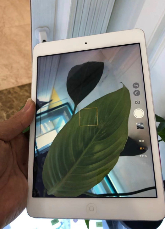 ipad mini2 ipad mini4...