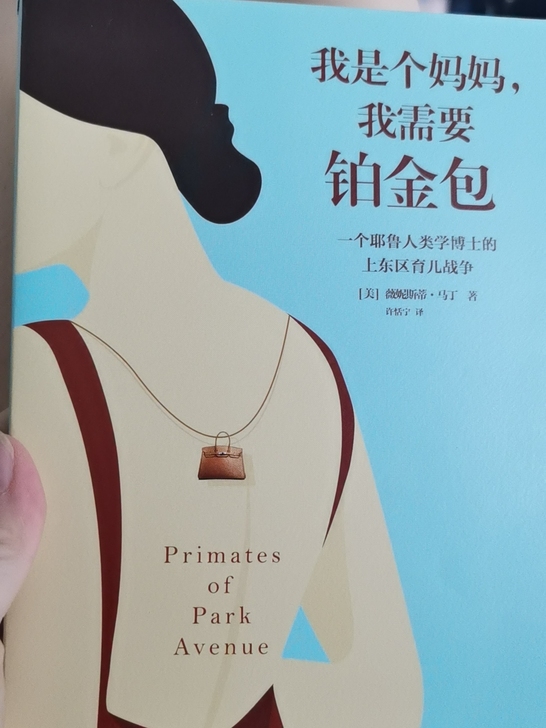 我是个妈妈,我需要铂金包