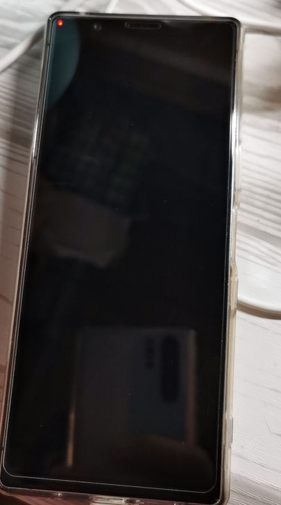 闲置Sony Xperia 5国行银色6+...