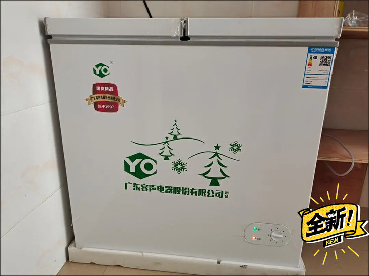 【处理】冰柜家用商用小型冰柜冷柜一级节能保...