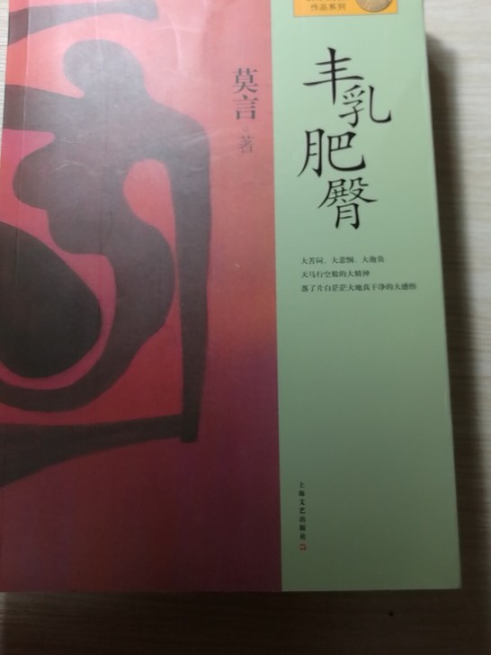 莫言长篇小说《丰乳肥臀》