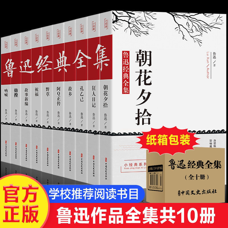 【全10册】鲁迅全集鲁迅正版故乡狂人日记文...