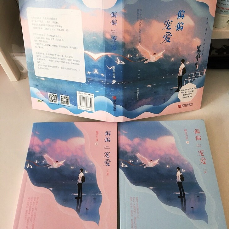 偏偏宠爱 全两册 藤萝为枝著 青春文学校园...