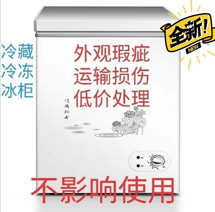 运输损伤冰柜家用小型冷藏冷冻转换雪糕柜迷你...