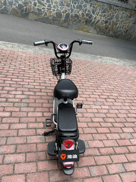全新摩卡粉雅迪电动车
