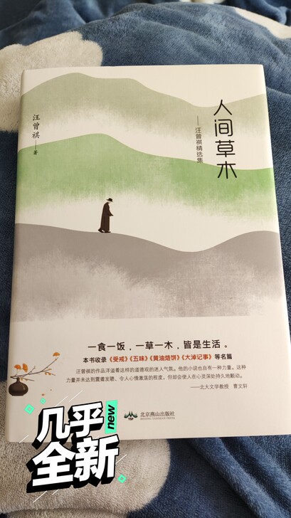 人间草木，汪曾祺散文集