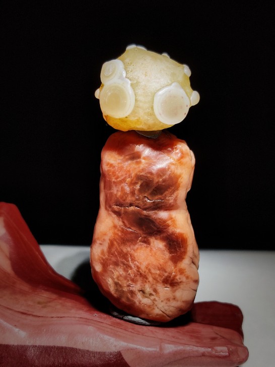 戈壁奇石象形，出售的是头部非身体部分，标价...