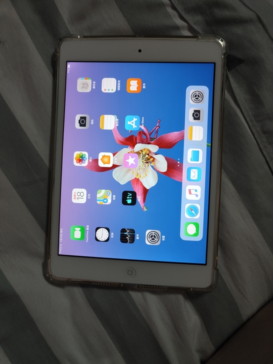 ipad mini2插卡版16g