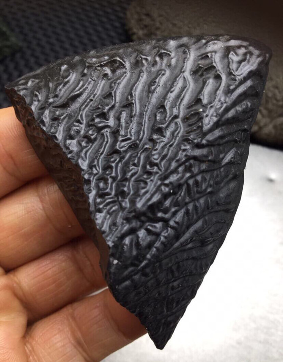 皱纹泥石