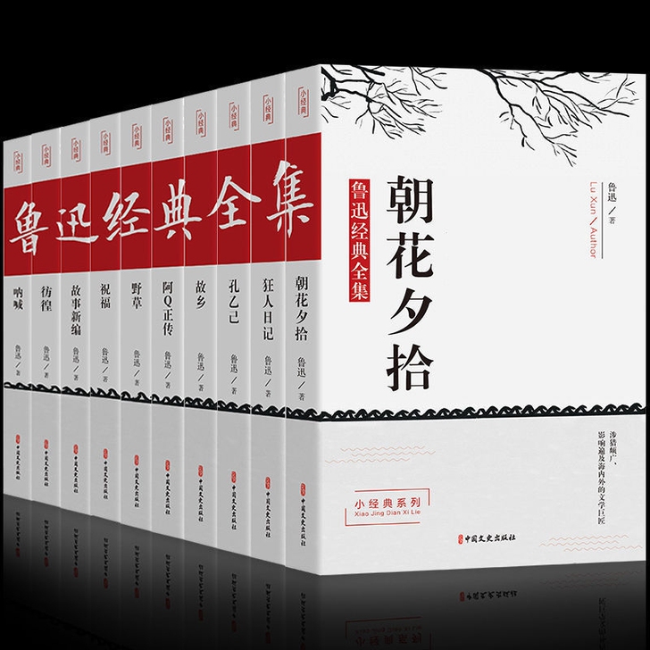 鲁迅经典全集10册大全