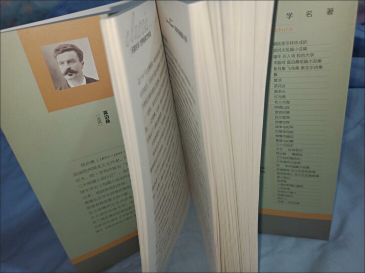 羊脂球 莫泊桑 正版 世界文学名著书籍  新