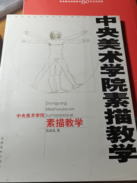 中央美院素描教学 清华美院 天津美院 鲁迅...