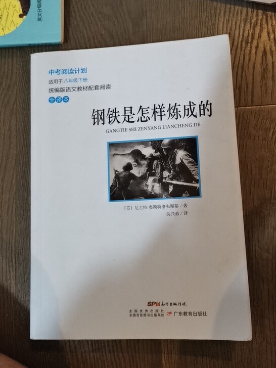 必读书钢铁是怎样炼成的