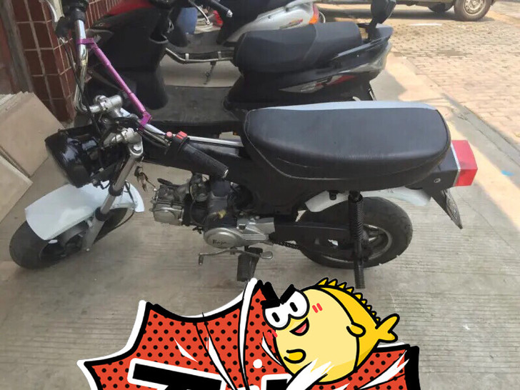 三鑫长劲鹿车 本田z50摩托小猴子摩托车改...