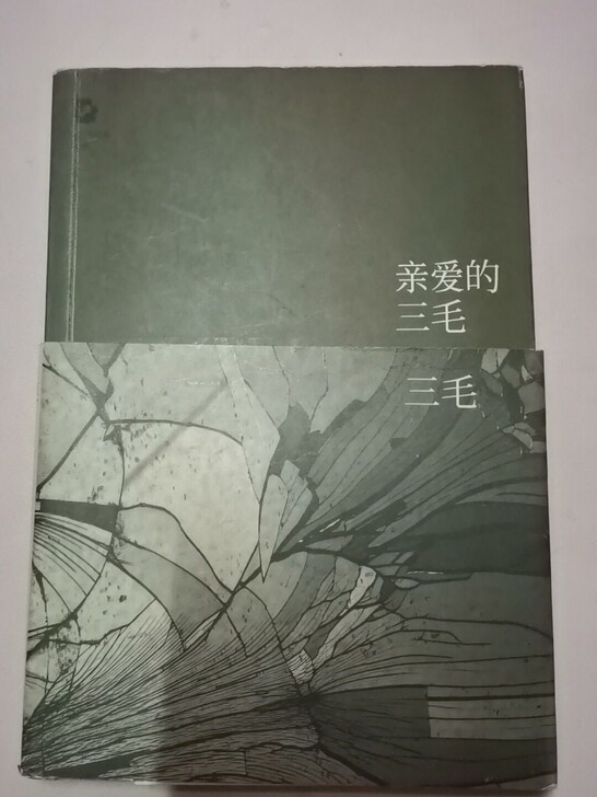 正版三毛 亲爱的三毛 撒哈拉的故事 两本34