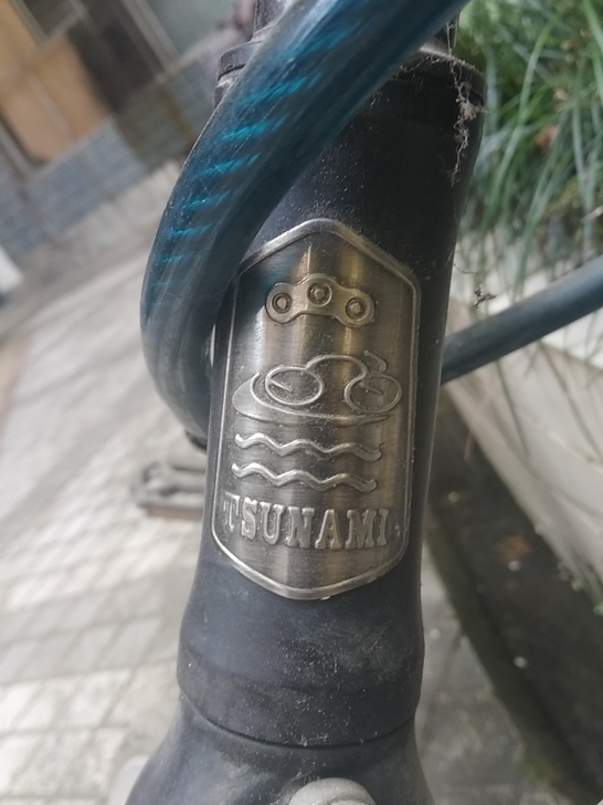 自行车,死飞,有一个前刹,铝合金车身。 八...