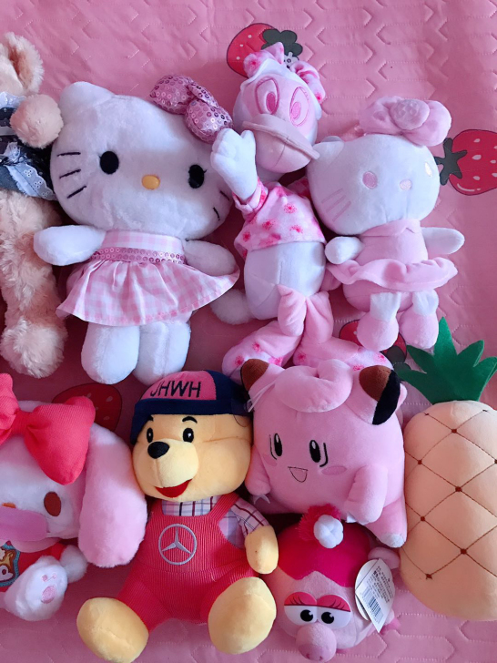 个人闲置 毛绒玩具 都是可爱的 质量手感特...