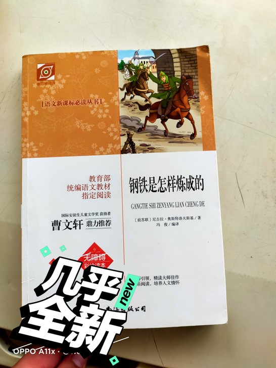 钢铁是怎样炼成的