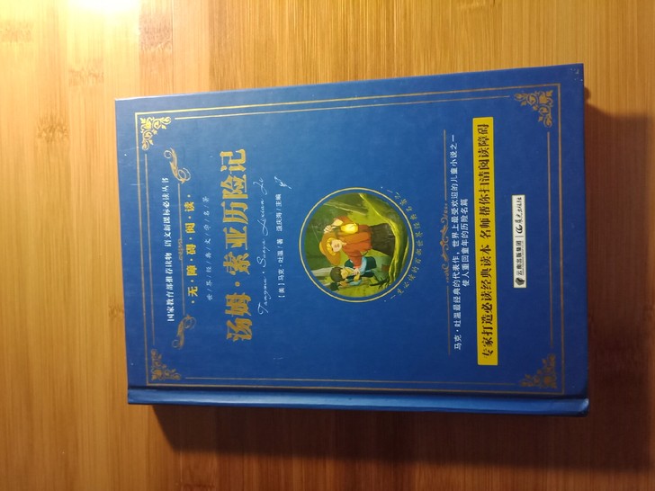 《汤姆索亚历险记》经典必读书