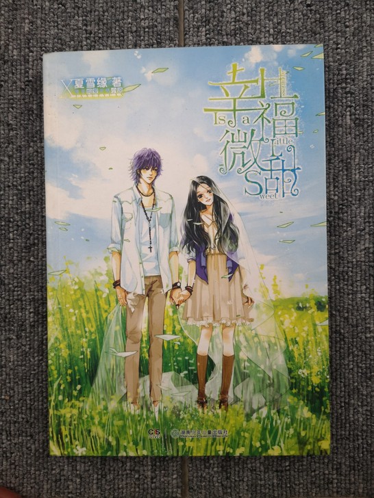 魅力优品8成新言情小说