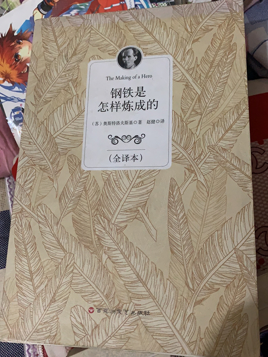 钢铁是怎样炼成的，新华书店买的，几乎全新，...