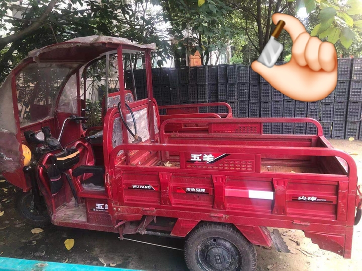 三轮车，1.6米超大后斗，空车架不带电池价...