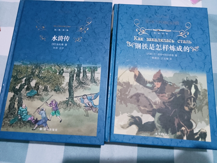 初中名著读物《钢铁是怎样炼成的》《水浒传》