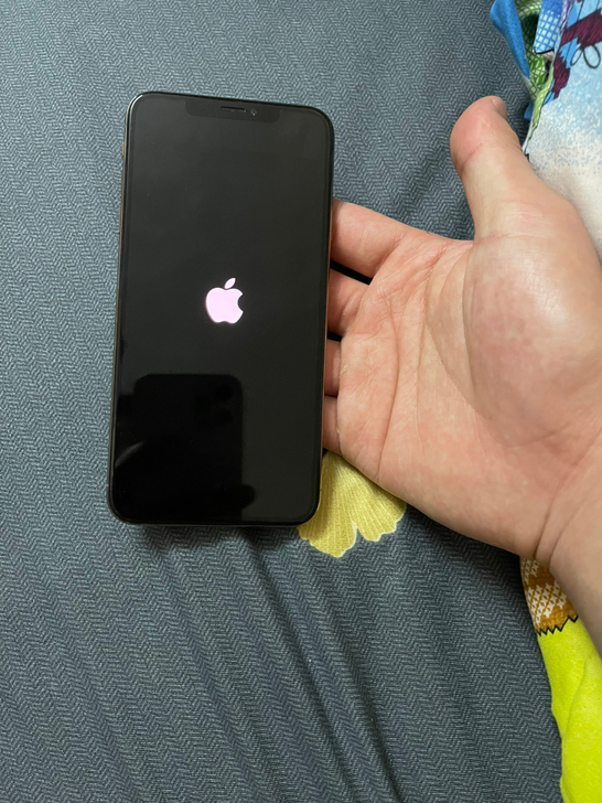 iPhone Xs Max国行256g成色...