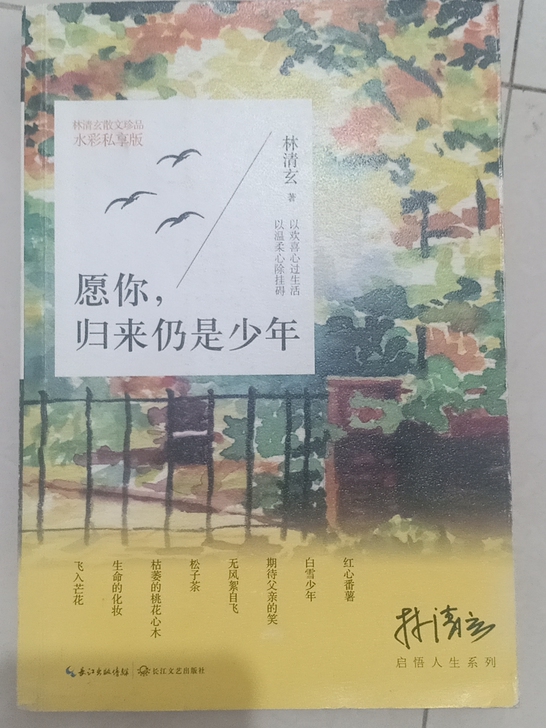 林清玄-愿你归来仍是少年