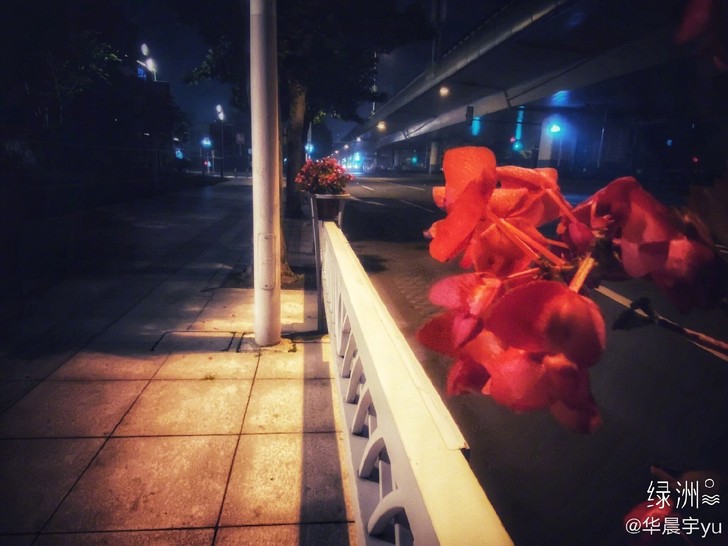 〔出〕盗墓笔记全套，加藏海花，沙海，黄河鬼...