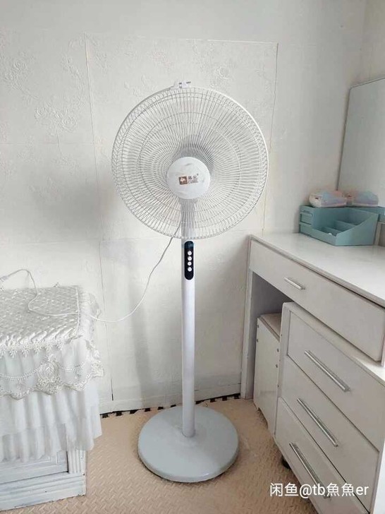 骆驼16寸电风扇落地扇家用宿舍立式风扇摇头...