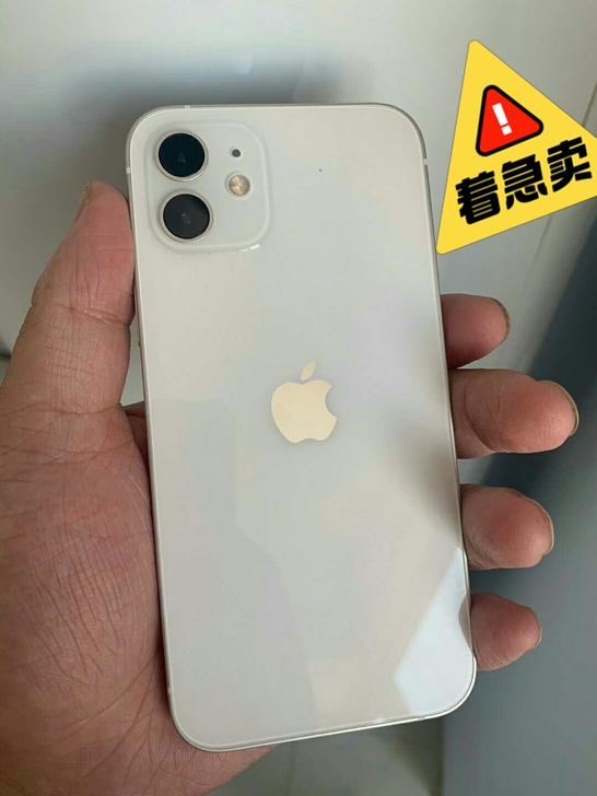 iPhone12 国行 三网5G