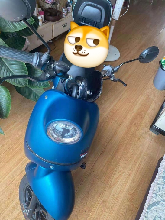 低价出 绿源电动车