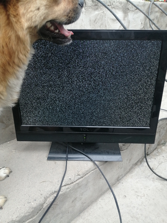 19寸液晶TCL电视全好，没毛病，正在使用...