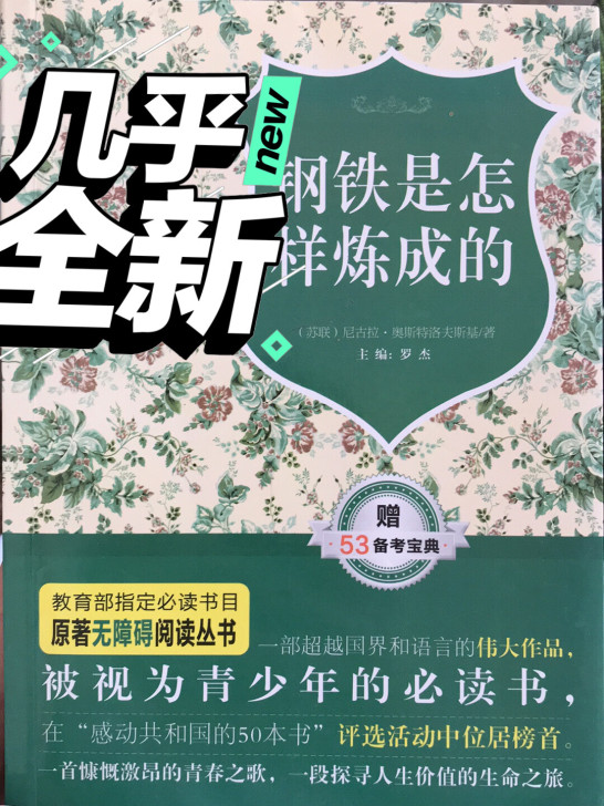 《钢铁是怎样炼成的》#教育部指定必读书目 ...