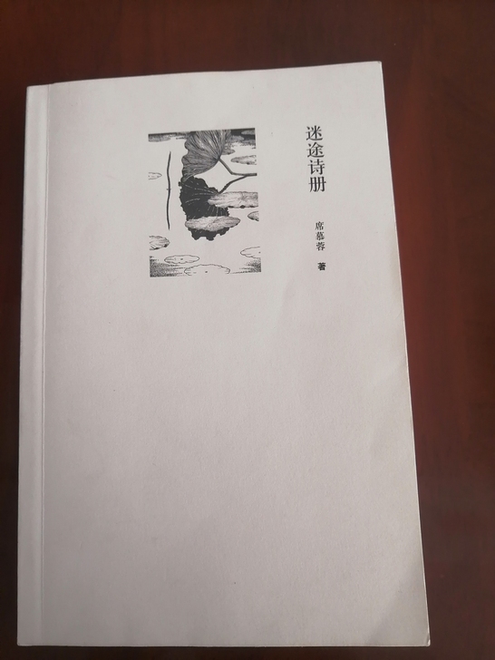 《迷途诗册》,席慕容,全新,10元包邮