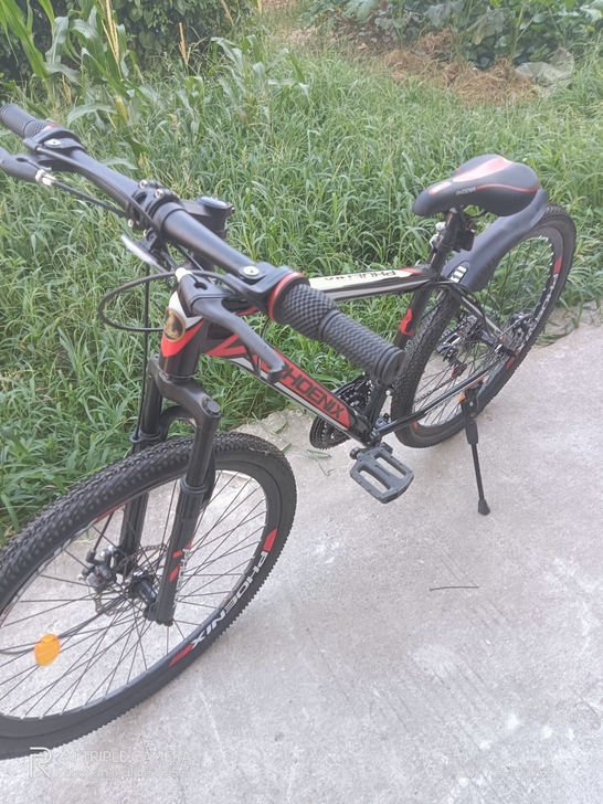 永久牌买来下次没骑过全新