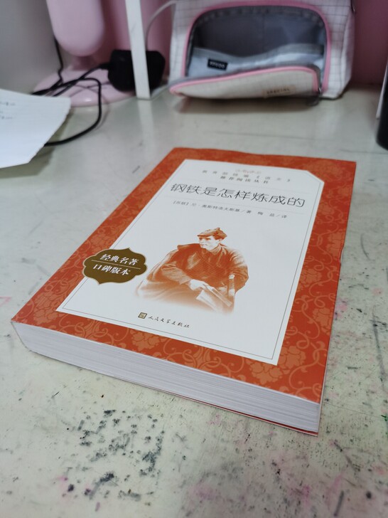 钢铁是怎样炼成的，人民文学出版社，几乎全新。