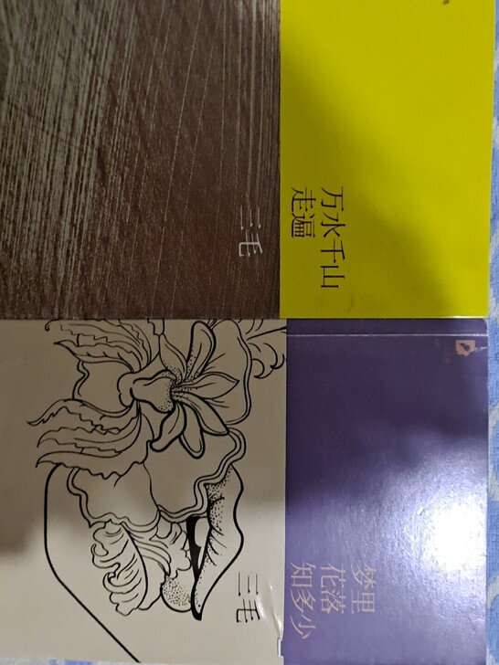三毛两本书
