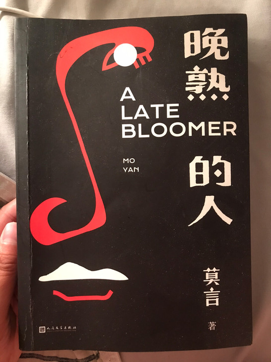 出闲置，莫言的晚熟的人，封面有点褶皱了，内...