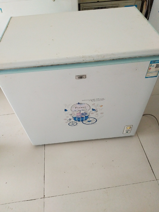 家庭正常使用单温冷柜转让490 成色很新 ...