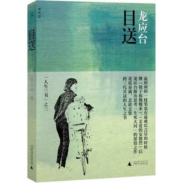 正版包邮目送龙应台人生三书彩插新版中国现当...